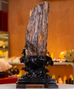 Đá Cảnh Gỗ Hóa Thạch - 19,7kg - M2492197