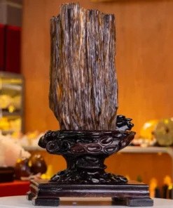 Đá Cảnh Gỗ Hóa Thạch - 19,7kg - M2492197