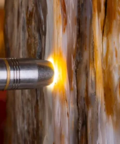 Đá Cảnh Gỗ Hóa Thạch - 19,7kg - M2492197