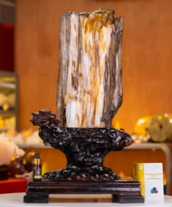 Đá Cảnh Gỗ Hóa Thạch - 19,7kg - M2492197