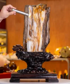 Đá Cảnh Gỗ Hóa Thạch - 19,7kg - M2492197