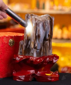 Đá Cảnh Gỗ Hóa Thạch - 2,3kg - M249223