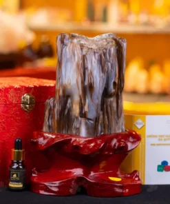 Đá Cảnh Gỗ Hóa Thạch - 2,3kg - M249223