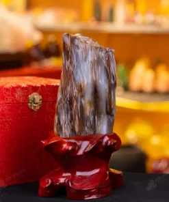 Đá Cảnh Gỗ Hóa Thạch - 2,3kg - M249223