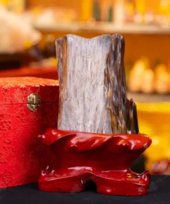 Đá Cảnh Gỗ Hóa Thạch - 2,3kg - M249223