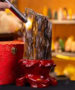 Đá Cảnh Gỗ Hóa Thạch - 3,1kg - M249231