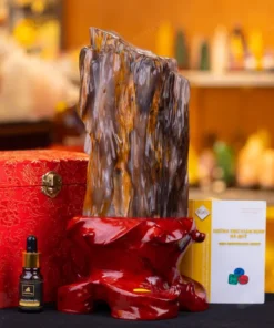 Đá Cảnh Gỗ Hóa Thạch - 3,1kg - M249231