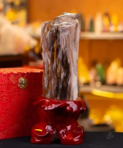 Đá Cảnh Gỗ Hóa Thạch - 3,1kg - M249231