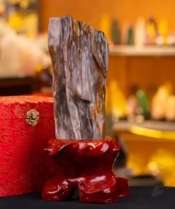 Đá Cảnh Gỗ Hóa Thạch - 3,1kg - M249231