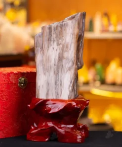 Đá Cảnh Gỗ Hóa Thạch - 3,1kg - M249231