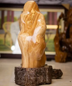 ĐÁ CẢNH VÂN GỖ 62,4Kg - M1910