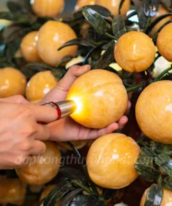 Cây Đào Đá Ngọc Hoàng Long 88 Quả - M2566