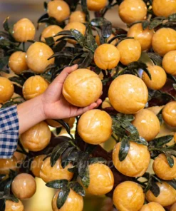 Cây Đào Đá Ngọc Hoàng Long 88 Quả - M2566