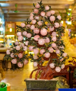 Cây Đào Đá Thạch Anh Hồng 3A 68 Quả 016-0763A-68