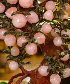 Cây Đào Đá Thạch Anh Hồng 3A 68 Quả 016-0763A-68