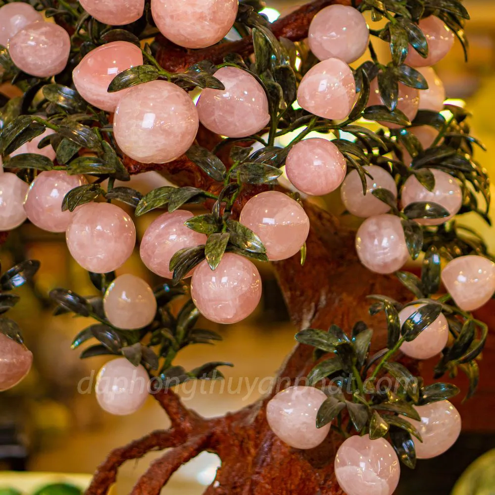 Cây Đào Đá Thạch Anh Hồng 3A 68 Quả 016-0763A-68