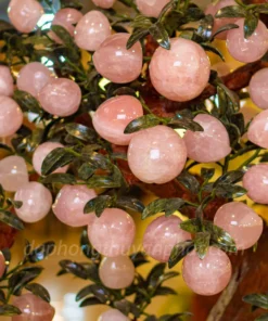 Cây Đào Đá Thạch Anh Hồng 3A 68 Quả 016-0763A-68