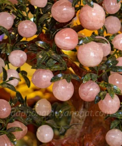 Cây Đào Đá Thạch Anh Hồng 3A 68 Quả 016-0763A-68