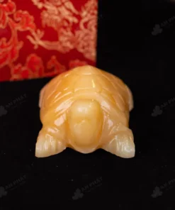 Rùa Thần Kim Quy Ngọc Hoàng Long  - M2929015