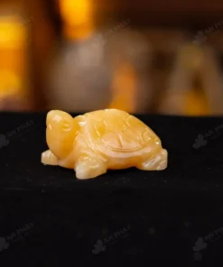 Rùa Thần Kim Quy Ngọc Hoàng Long  - M2929015