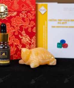 Rùa Thần Kim Quy Ngọc Hoàng Long  - M2929015