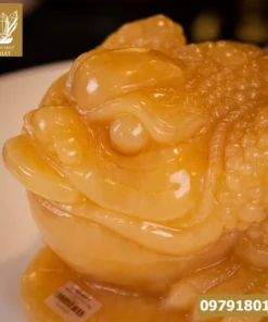 Thiềm Thừ (Cóc 3 Chân, Cóc Ngậm Tiền) Ngọc Hoàng Long 12kg - M2153