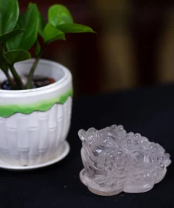 Thiềm Thừ (Cóc 3 Chân - Cóc Ngậm Tiền) Thạch Anh Trắng 0,5kg - M13697