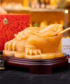 Thiềm Thừ Ngọc Hoàng Long - 7,29kg - M2812729