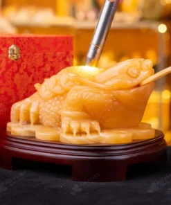 Thiềm Thừ Ngọc Hoàng Long - 7,29kg - M2812729