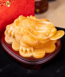 Thiềm Thừ Ngọc Hoàng Long - 7,29kg - M2812729