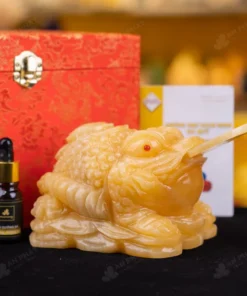 Thiềm Thừ Ngọc Hoàng Long - 2,07kg - M2875207