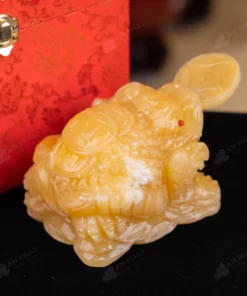 Thiềm Thừ Ngọc Hoàng Long - 1,89kg - M2875189